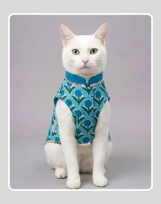 Blue Sherwani for Dogs