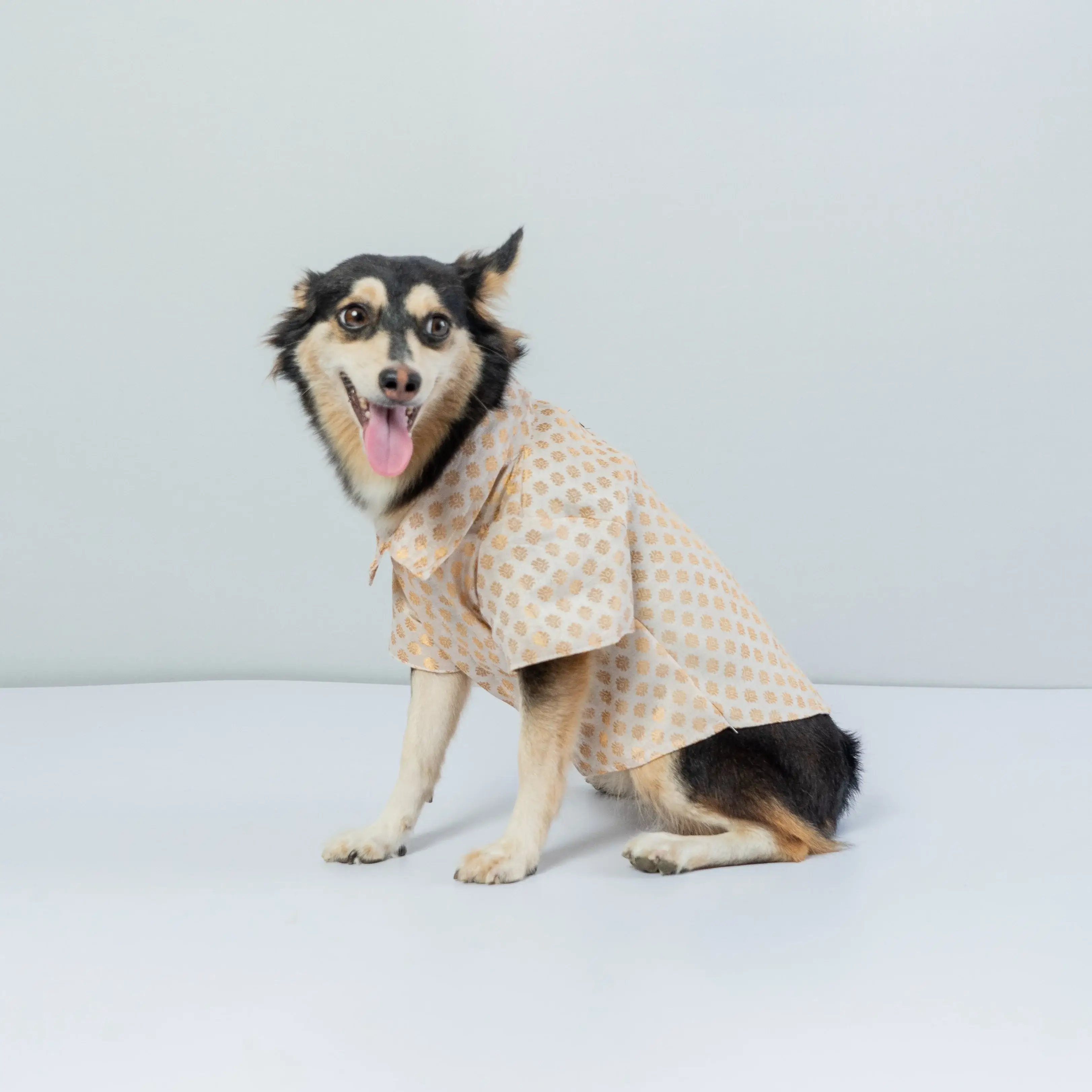 White Occasion Wear Shirt For Dogs