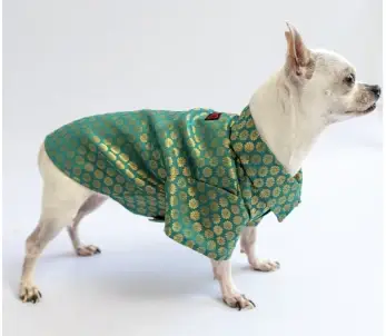 Teal Occasion Wear Shirt For Dogs