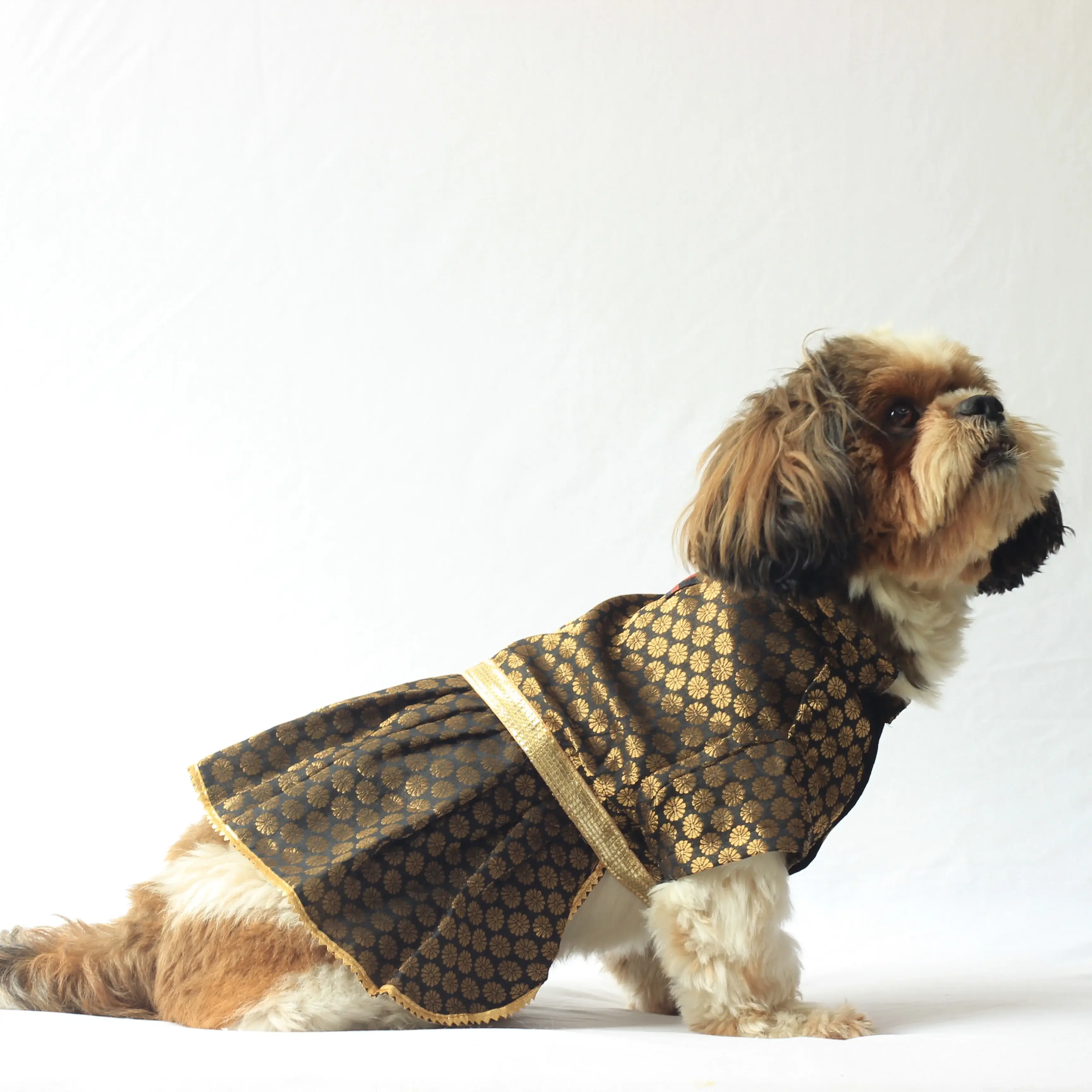 Black Occasion Wear Dress For Dogs