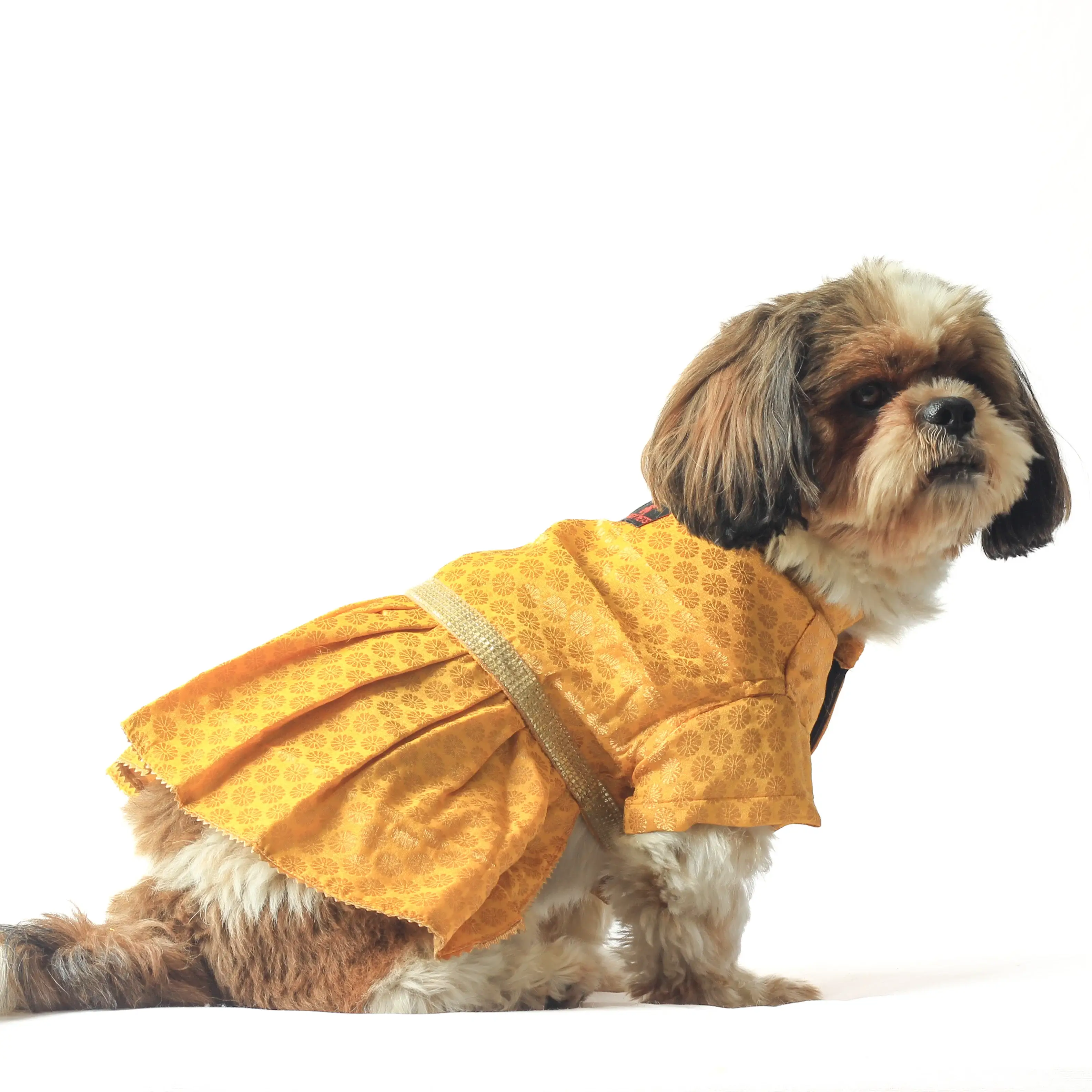 Yellow Occasion Wear Dress For Dogs