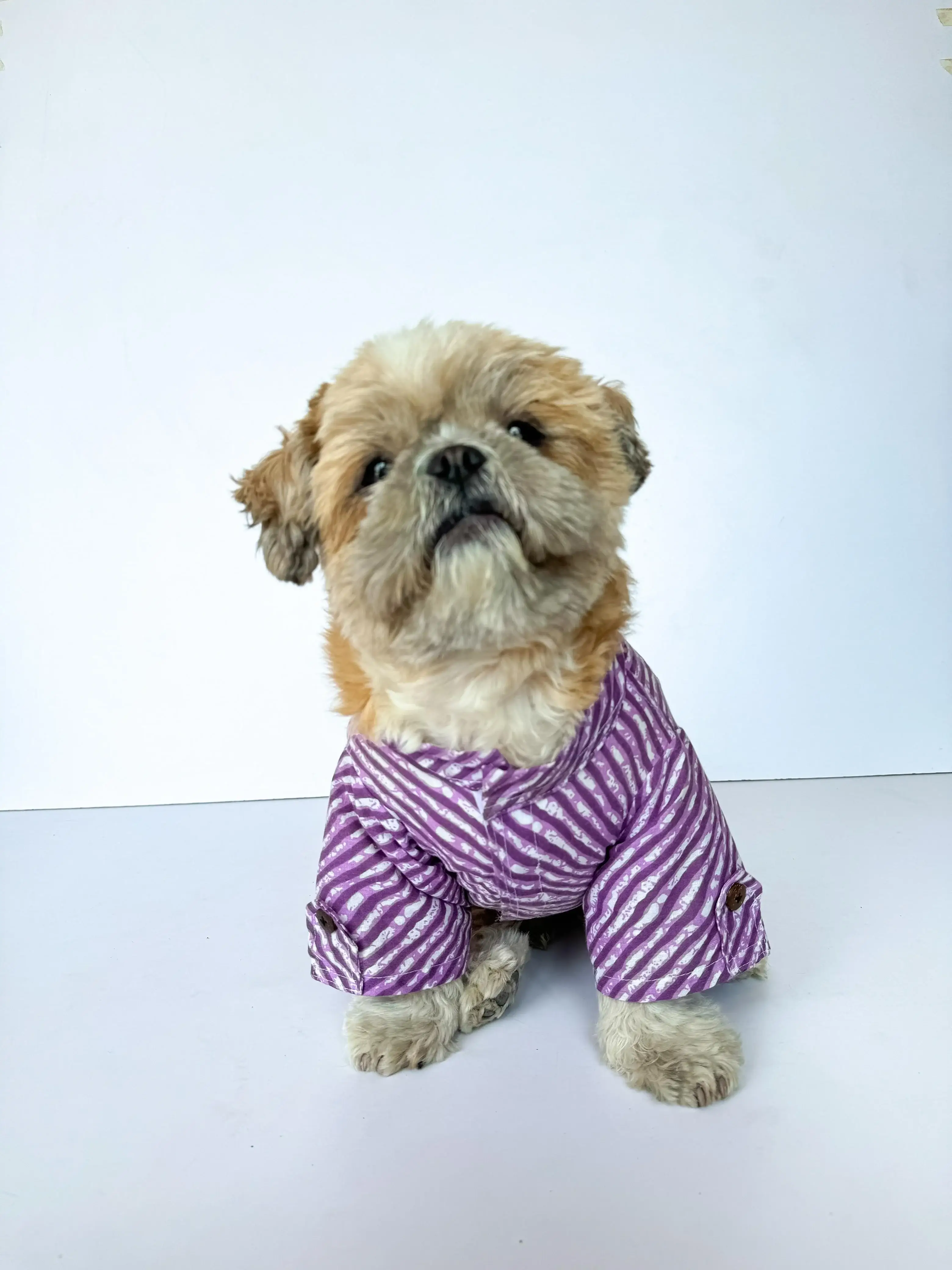 Purple Lehriya Kurta For Dogs