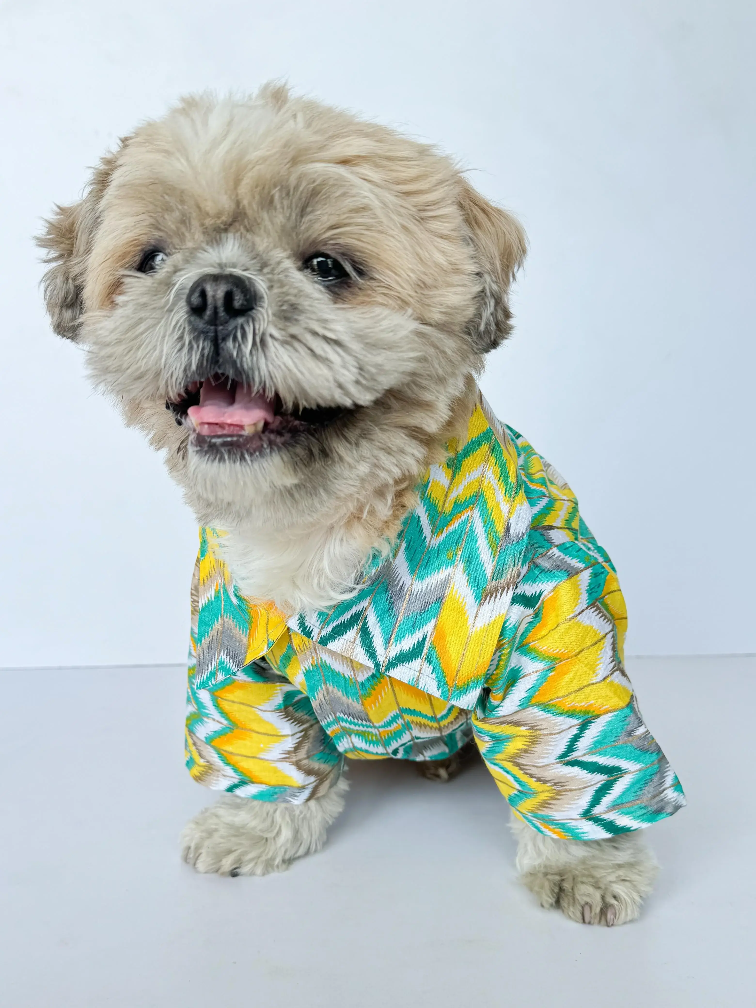 Green Zig-Zag Kurta For Dogs