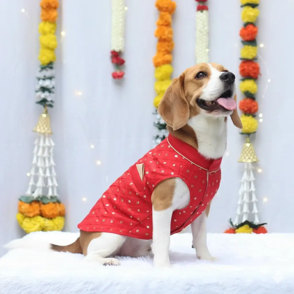 Red Shahi Kurta For Dogs