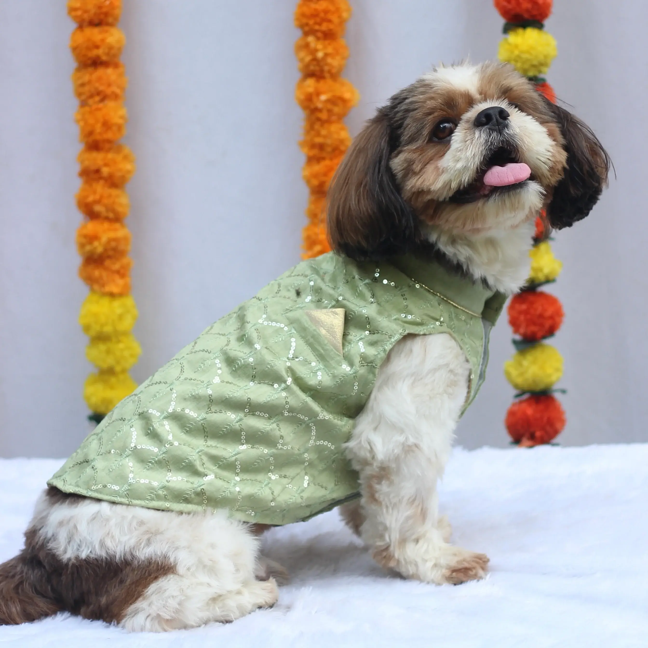 Pastel Green Shahi Kurta For Dogs