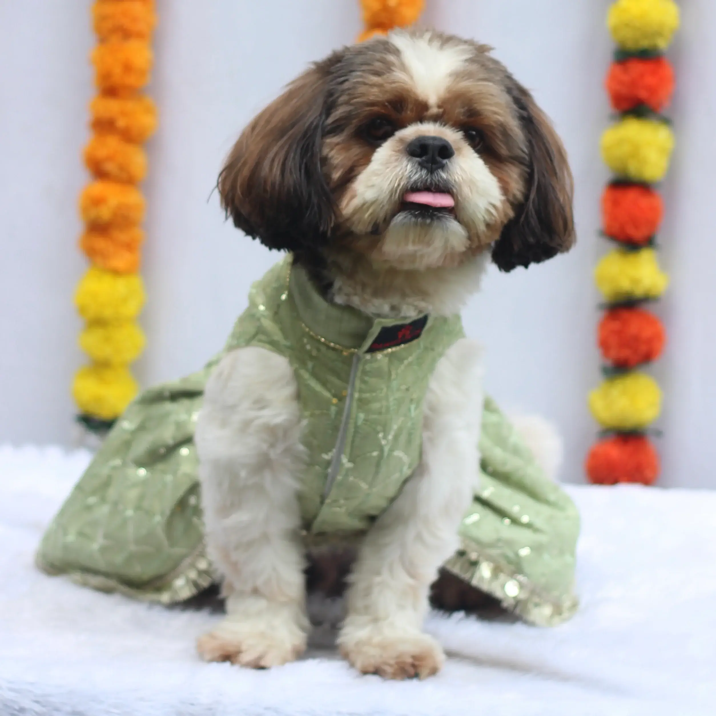 Pastel Green Shahi Lehenga Dress For Dogs