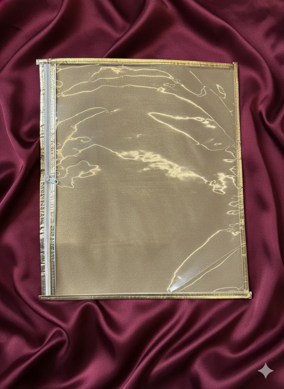 Golden Transparent Saree Cover